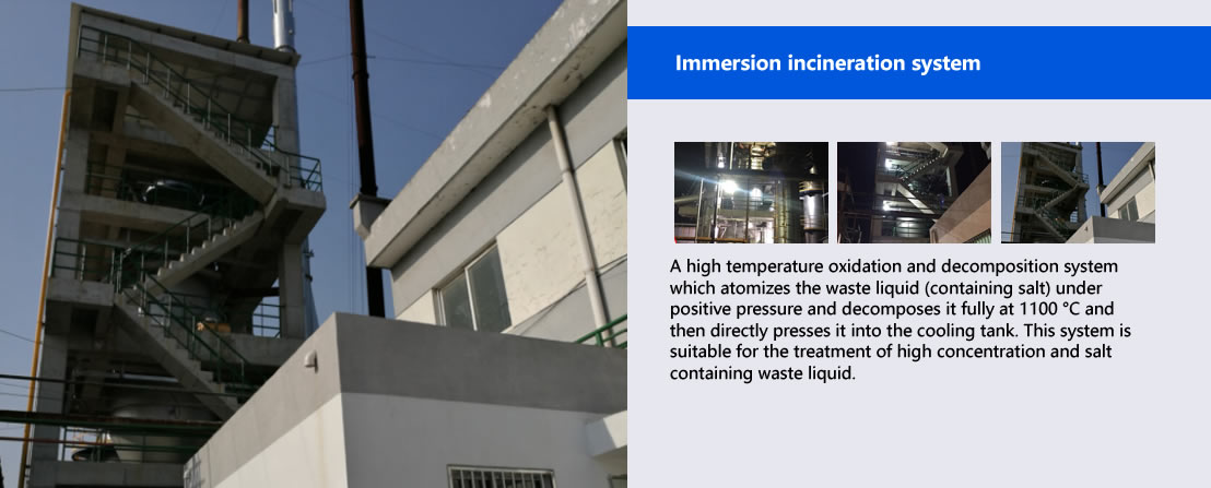 Immersion incineration system